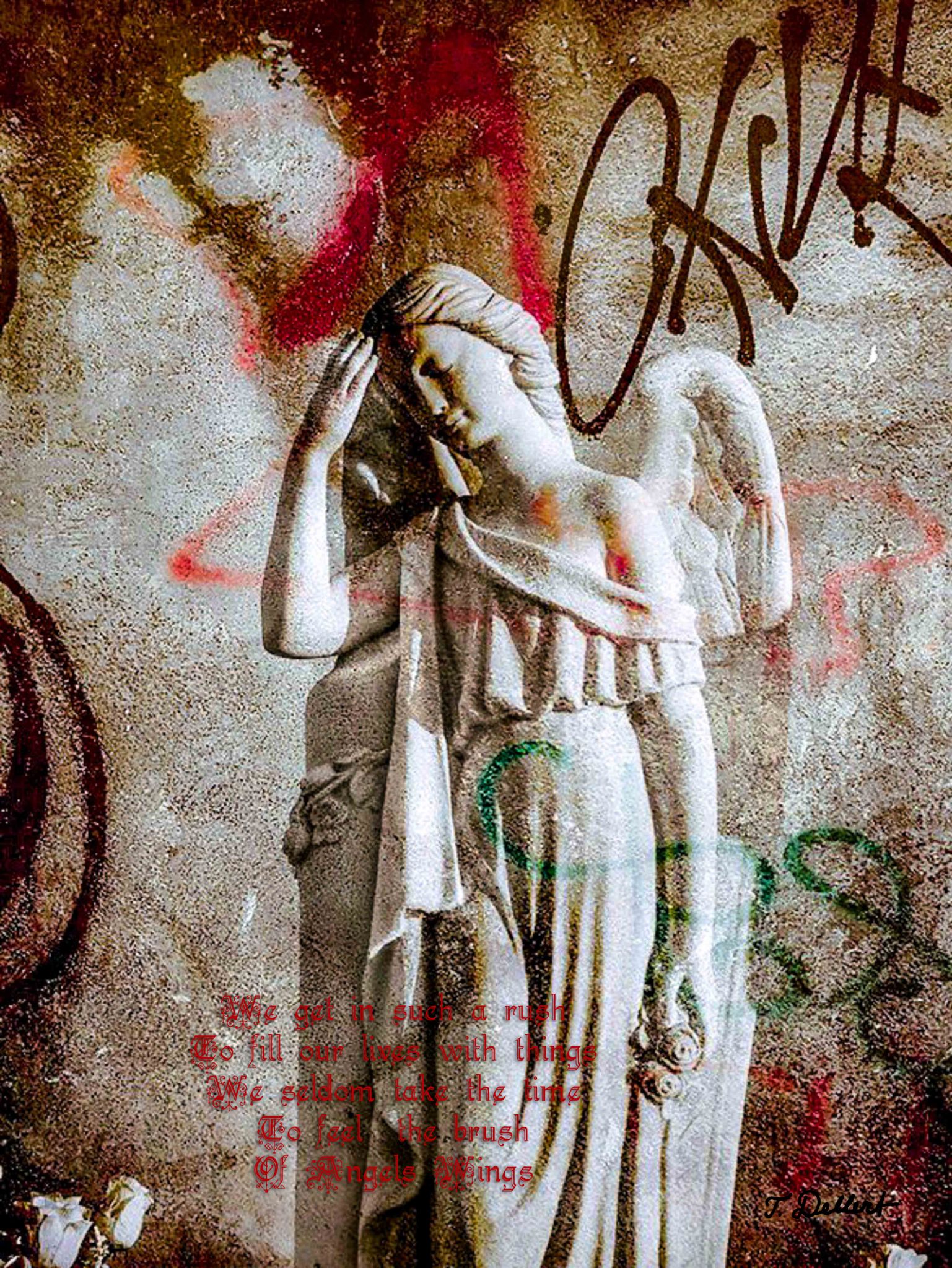 ANGEL 17 WITH TEXT 